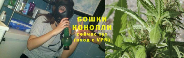 трава Гусь-Хрустальный