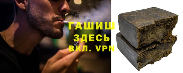 гидра Горняк