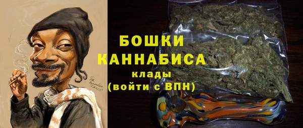гидра Горняк