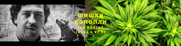 гидра Горняк