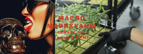 гидра Горняк