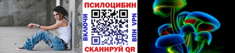 купить закладку  Чкаловск  darknet формула  Галлюциногенные грибы мицелий 
