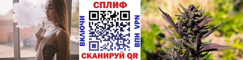 Каннабис планчик даркнет Telegram Чкаловск